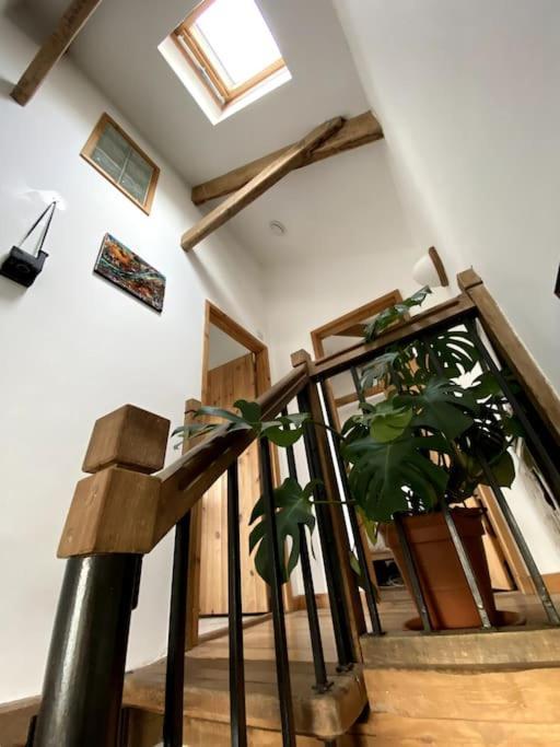 9A Viaduct Cottage - The Cosiest Bolthole In The Sw! 헤일 외부 사진