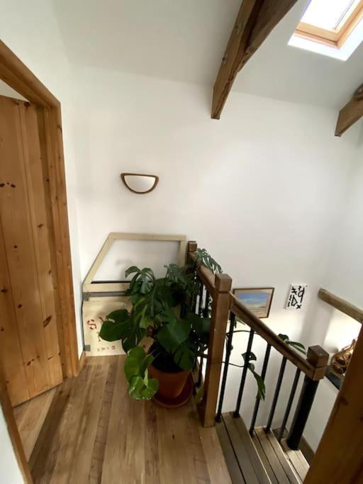 9A Viaduct Cottage - The Cosiest Bolthole In The Sw! 헤일 외부 사진